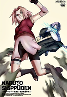 Naruto Shippuden (1ª Temporada) (ナルト- 疾風伝 シーズン1)