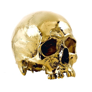 Foto de perfil de Baldessária