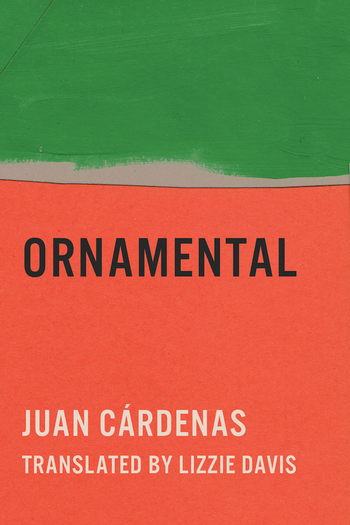 Poster de Filme Ornamento (2027)