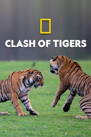 Poster de TV Fúria de Tigres (2018)