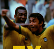 5x Brasil