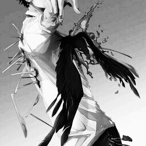 Foto de perfil de Silent Crow
