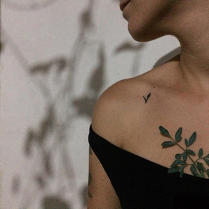 Foto de perfil de Becassi