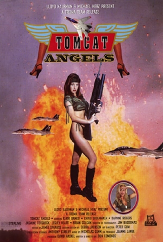Poster 1 de Filme Tomcat Angels (1991)