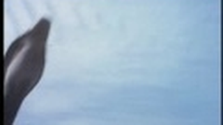 Trailer: Sssssss (1973) trailer