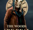 The Woods Are Real