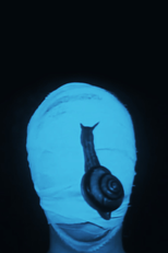 Smallpox Tale (Hoso-tan)