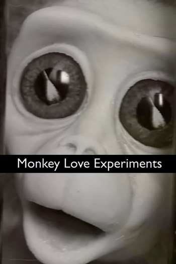 Poster de Curta Monkey Love Experiments (2014)