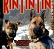 Rin Tin Tin - O Filme