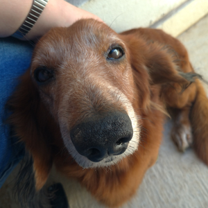 Foto de perfil de Stephani