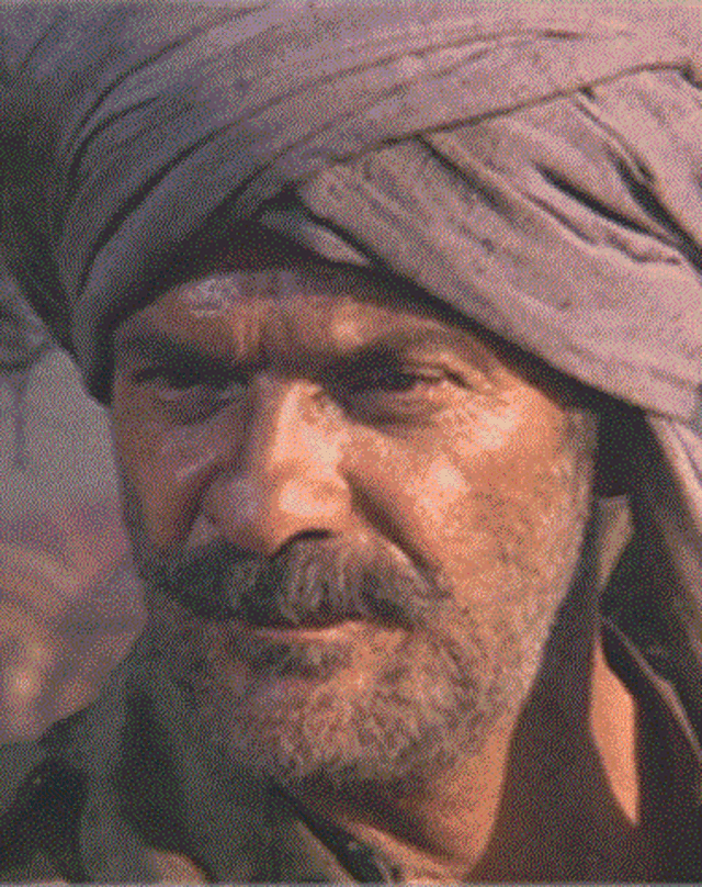 Fotos Spiros Focás Artista Filmow