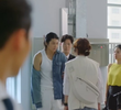 13회