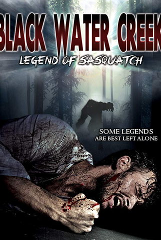 Poster 1 de Filme Black Water Creek (2014)