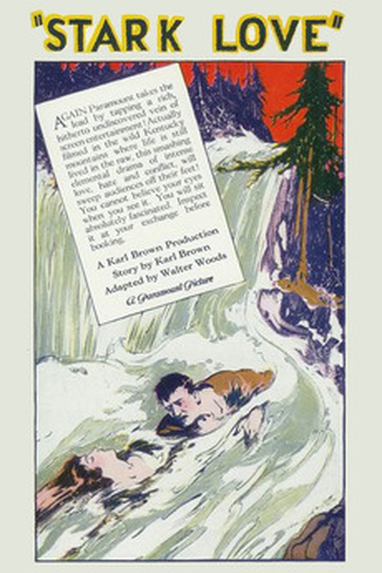 Poster de Filme Conflagração do Amor (1928)