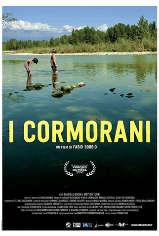 Poster 1 de Filme The Cormorants (2016)
