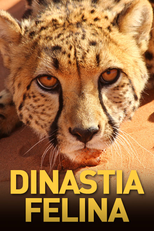Dinastia Felina (Dinastia Felina)