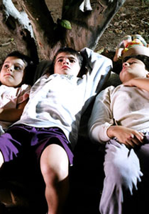 As Coisas que Moram nas Coisas  (As Coisas que Moram nas Coisas )