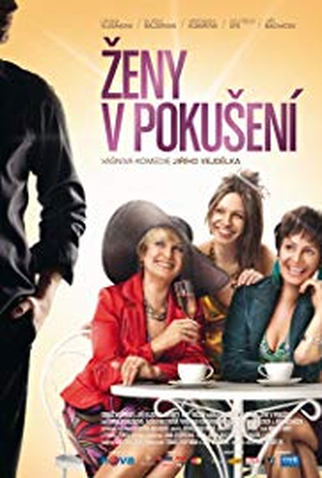 Poster 1 de Filme Zeny v pokusení (2010)