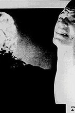 O Contrabando (O Contrabando)