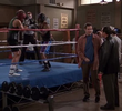 Norm vs. the Boxer