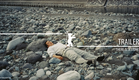 "There Is a Stone" (Ishi ga aru) | Trailer | Berlinale 2023