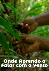 Onde Aprendo a Falar com o Vento (Onde Aprendo a Falar com o Vento)