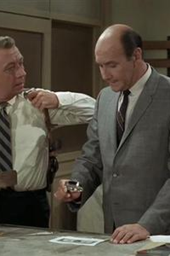 Poster de Episódio Aunt Bee Takes a Job (1965)