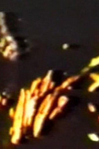 Poster de Curta Loud Visual Noises  (1987)