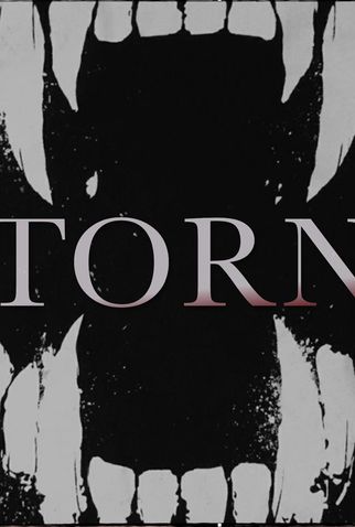 Poster 1 de Filme Torn (2023)