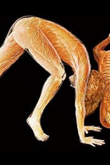 Eu, Humano [HD] - Documentário Dublado National Geographic (.)