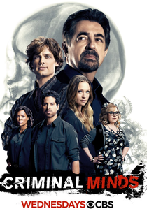 Mentes Criminosas (12ª Temporada) - Poster / Capa / Cartaz - Oficial 1