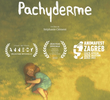 Paquiderme