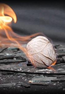 Xochiquetzal (Xochiquetzal)