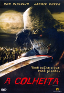 A Colheita