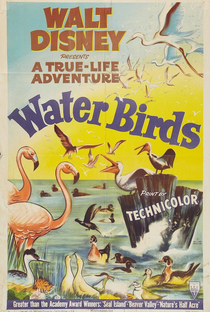 Water Birds - Poster / Capa / Cartaz - Oficial 2