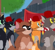 Top Cat