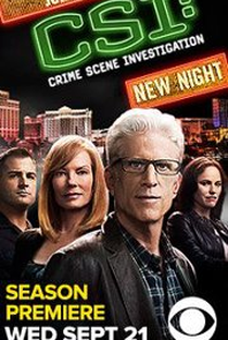 CSI: Investigação Criminal (12ª Temporada) - Poster / Capa / Cartaz - Oficial 2