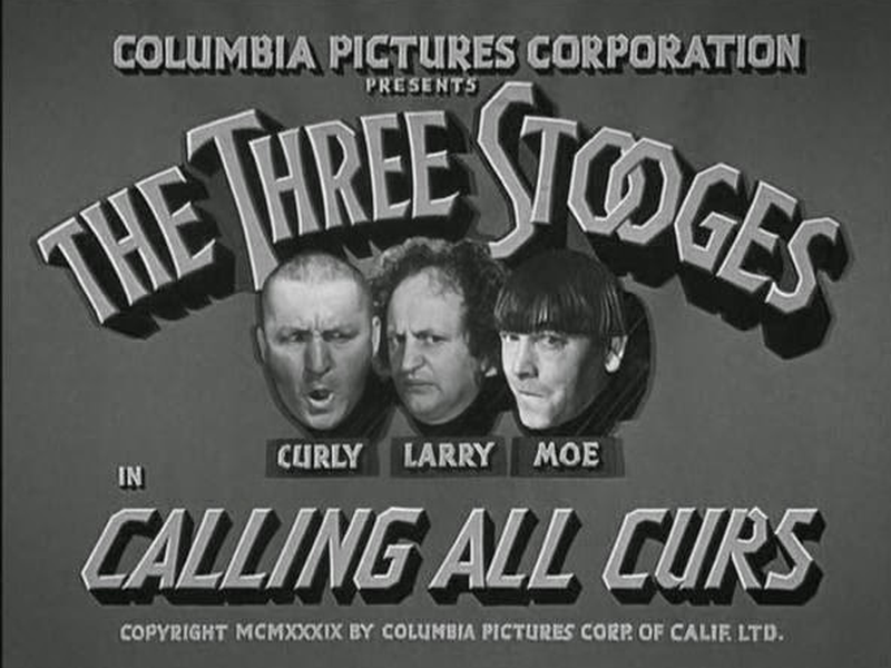 Foto 2 de Isso é uma Cachorrada