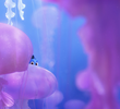 Procurando Dory