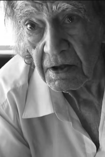 José Cardoso - Poster 1
