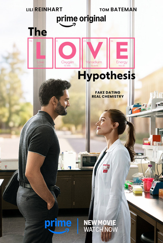 Poster 5 de Filme A Hipótese do Amor (2026)