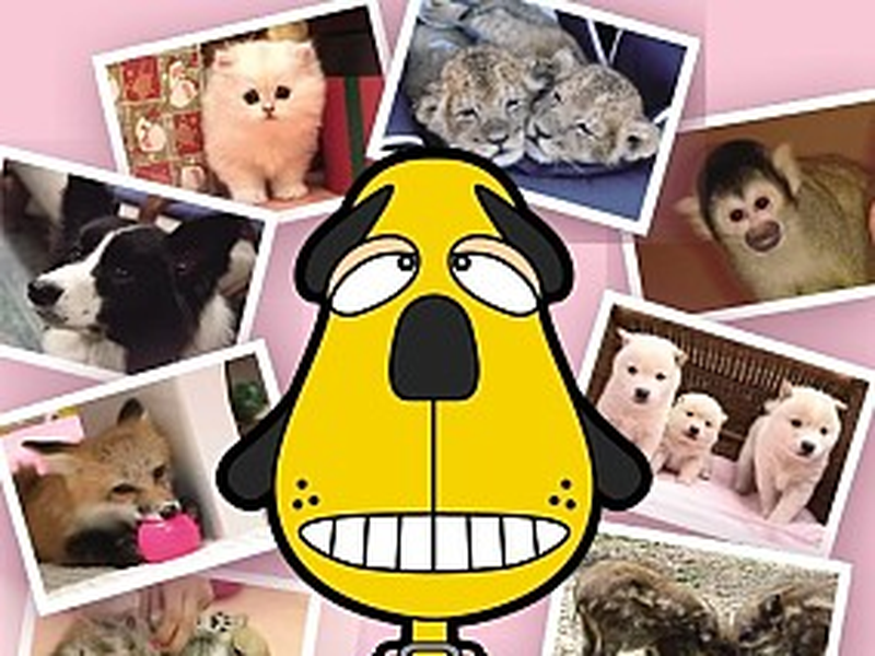 Foto 1 de Tensai! Shimura Dōbutsuen