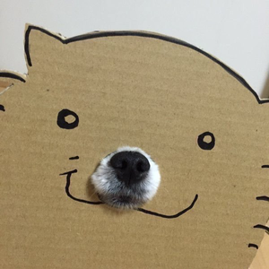 Foto de perfil de Badabes