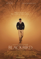 Blackbird (Blackbird)