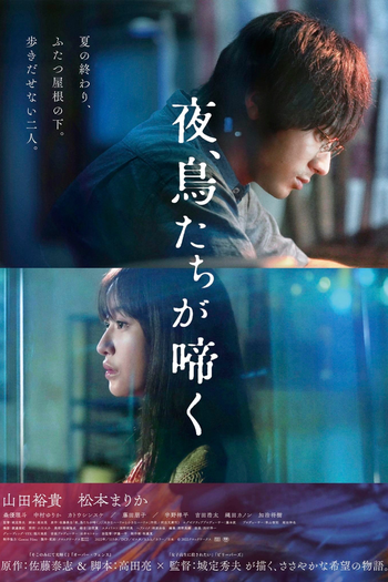 Poster de Filme Night, Birds Scream (2022)