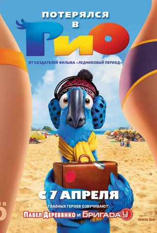 Poster 8 de Filme Rio (2011)