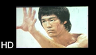El Testamento de Bruce Lee (Dragon Lee, Ron Van-Clief)