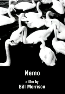 Nemo (Nemo)