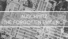 Auschwitz - A Evidência Esquecida (Legendado)