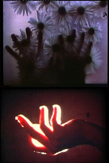 Rouges Silences (Rouges Silences)